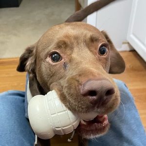 Meet your Posher, Savannah